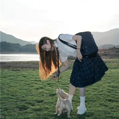 南来北往